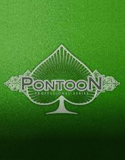 ponton